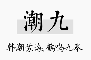 潮九名字的寓意及含义