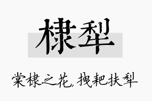 棣犁名字的寓意及含义