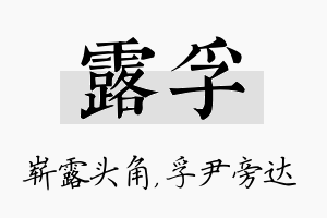 露孚名字的寓意及含义