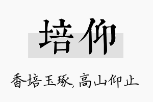 培仰名字的寓意及含义