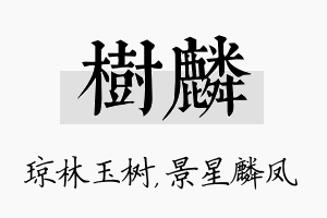 树麟名字的寓意及含义