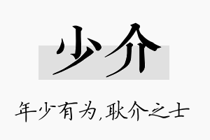 少介名字的寓意及含义