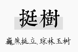 挺树名字的寓意及含义