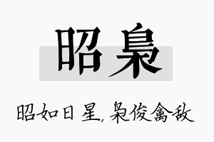 昭枭名字的寓意及含义