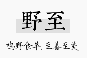 野至名字的寓意及含义