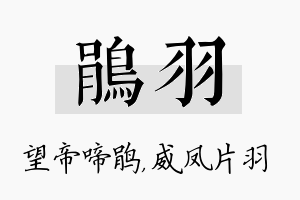 鹃羽名字的寓意及含义