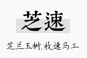 芝速名字的寓意及含义