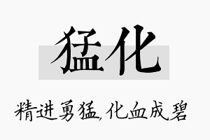 猛化名字的寓意及含义