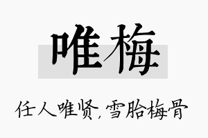 唯梅名字的寓意及含义