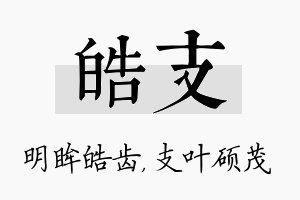 皓支名字的寓意及含义