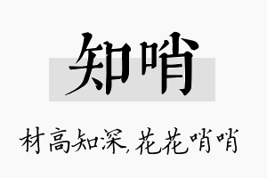 知哨名字的寓意及含义