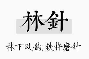 林针名字的寓意及含义