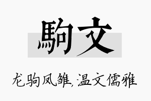 驹文名字的寓意及含义