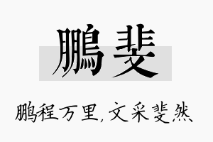 鹏斐名字的寓意及含义