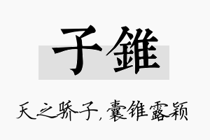 子锥名字的寓意及含义