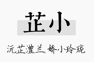 芷小名字的寓意及含义