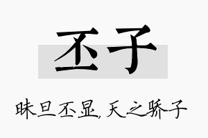 丕子名字的寓意及含义