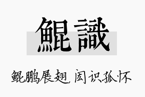 鲲识名字的寓意及含义