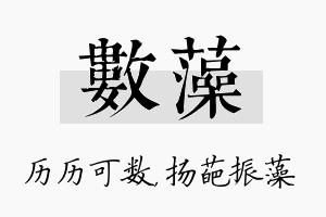 数藻名字的寓意及含义