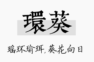 环葵名字的寓意及含义