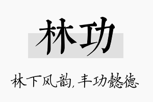 林功名字的寓意及含义