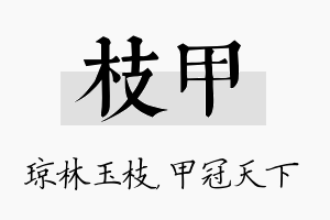 枝甲名字的寓意及含义