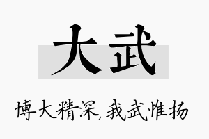 大武名字的寓意及含义