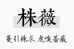 株薇名字的寓意及含义