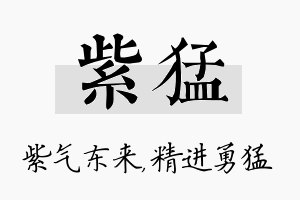 紫猛名字的寓意及含义