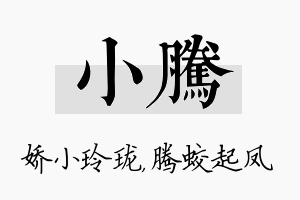 小腾名字的寓意及含义