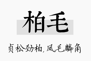 柏毛名字的寓意及含义