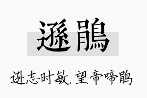 逊鹃名字的寓意及含义