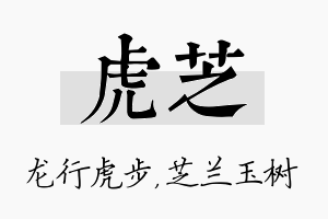 虎芝名字的寓意及含义