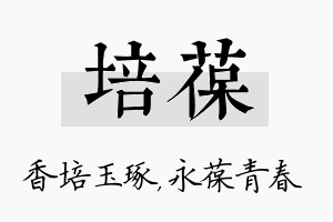 培葆名字的寓意及含义