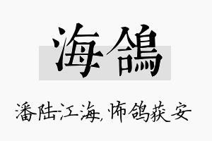 海鸽名字的寓意及含义