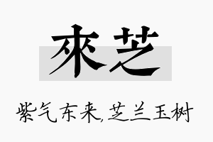 来芝名字的寓意及含义