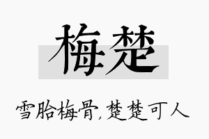 梅楚名字的寓意及含义