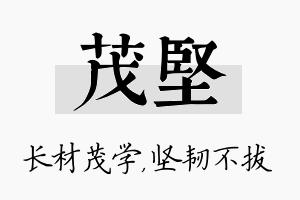 茂坚名字的寓意及含义