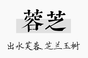 蓉芝名字的寓意及含义