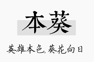 本葵名字的寓意及含义