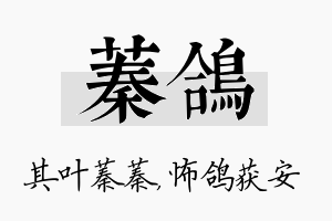 蓁鸽名字的寓意及含义