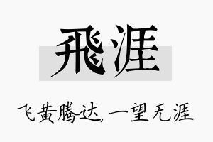 飞涯名字的寓意及含义