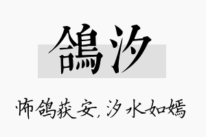 鸽汐名字的寓意及含义