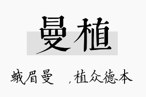 曼植名字的寓意及含义