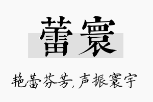 蕾寰名字的寓意及含义