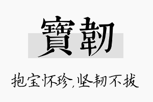 宝韧名字的寓意及含义