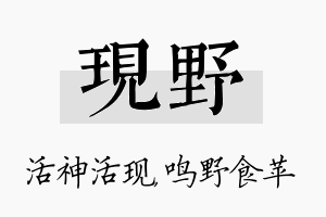 现野名字的寓意及含义