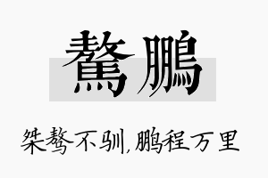 骜鹏名字的寓意及含义