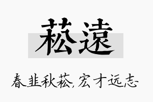 菘远名字的寓意及含义