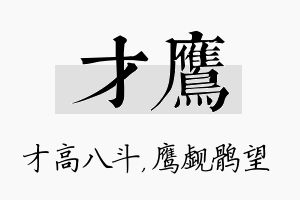 才鹰名字的寓意及含义